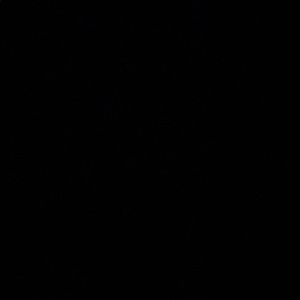 Meet your Posher, Jesse